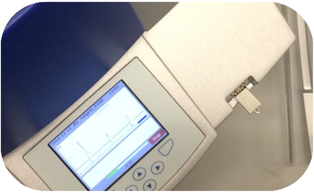 <br> </i> DNA Methylation Analysis