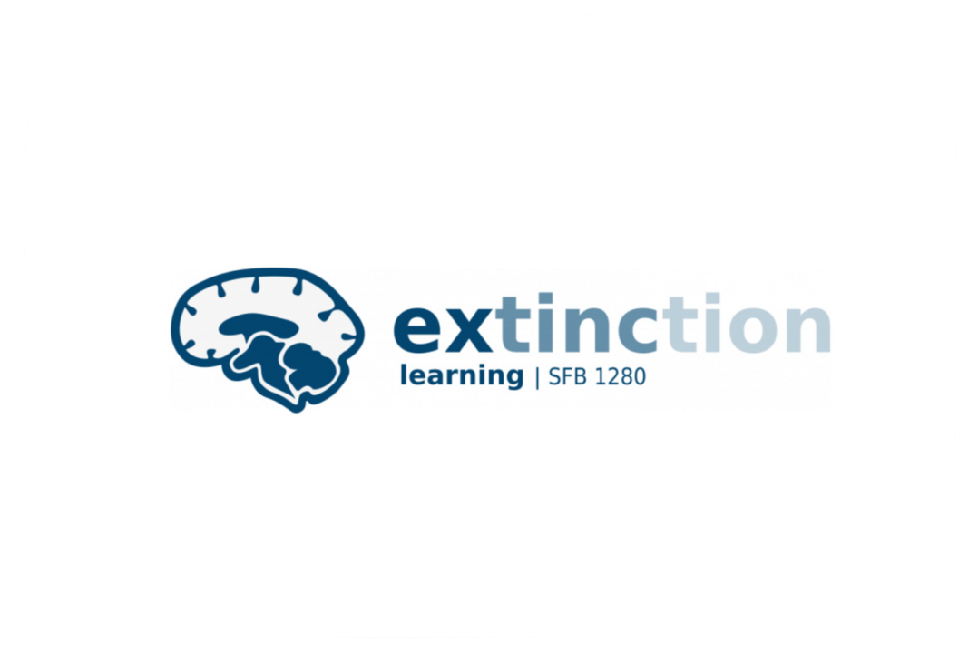 <br></i> Extinction Learning